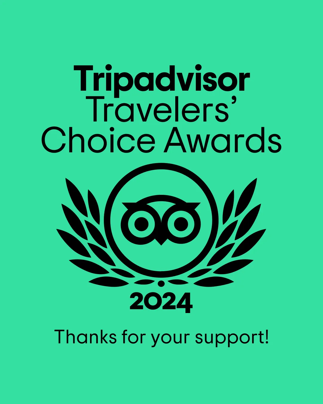 2024 Tripadvisor Travelers’ Choice Award Winner